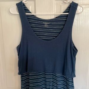 Toad and Co blue striped dress.